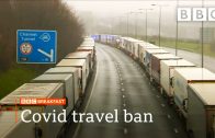 Covid-19-UK-and-France-aim-to-restart-freight-as-queues-grow-BBC-News-live-BBC
